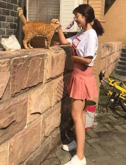 1558339878660968.png image.png